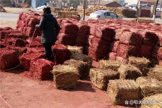 辅助除草免费移动版游戏截图