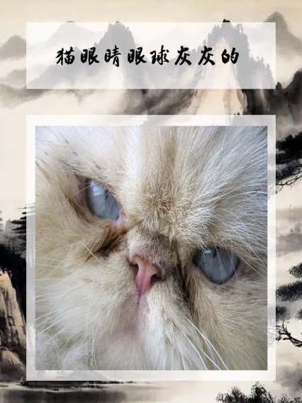 猫抽搐是怎么回事