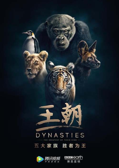 王朝在线观看免费白色版游戏截图
