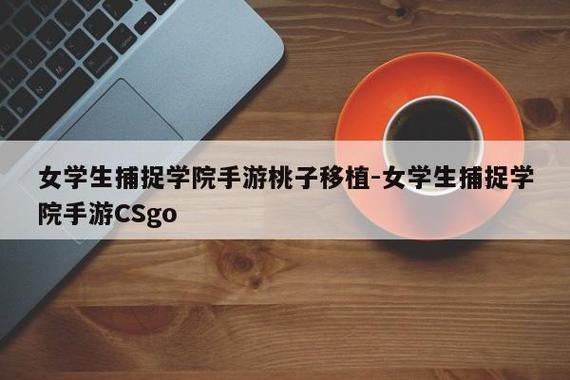 桃子移植放学后的捉迷藏游戏缩略图