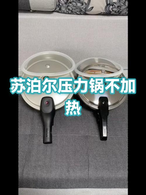 苏泊尔压力锅e0是什么故障