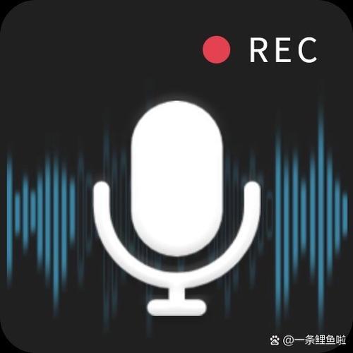 小米录屏麦克风和内置声音都录进去