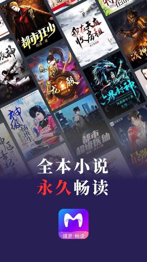 米读小说免费阅读黑色版免墙版游戏截图