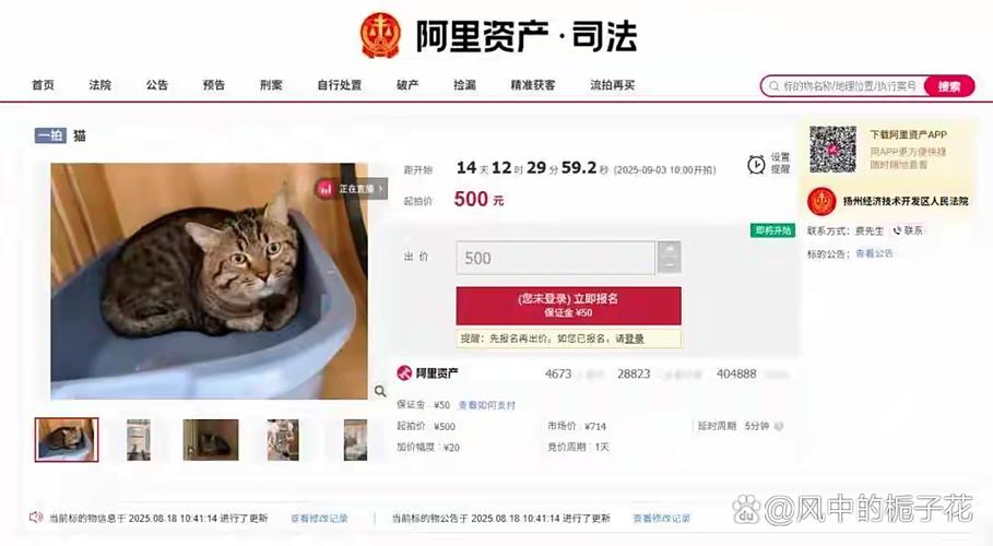 法拍网有哪些平台
