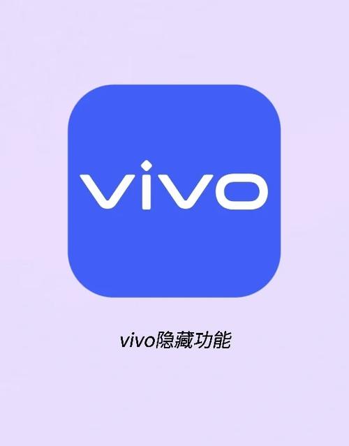定向流量vivo是什么