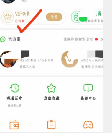我看ViP电影网中国版游戏截图