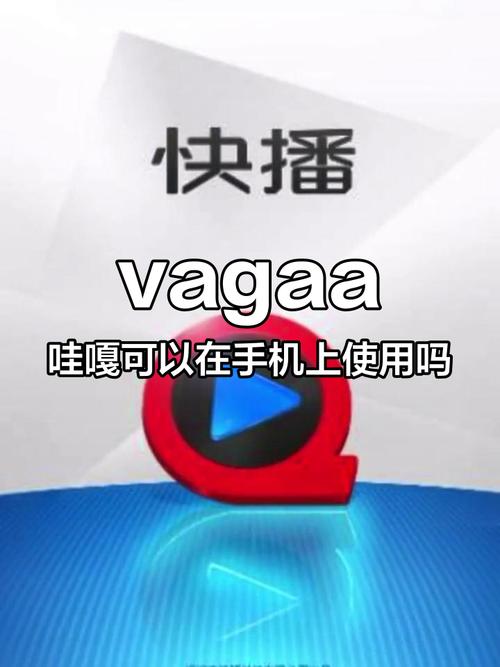 以前的vagaa干嘛用的