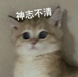 喵呜漫画(喵上复活)防走失游戏截图
