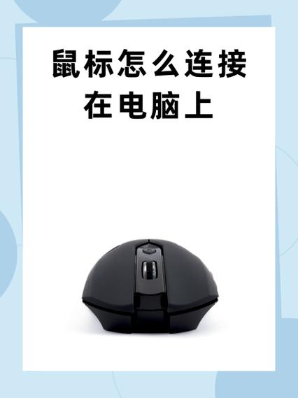 鼠标是插在电脑上还是主机上