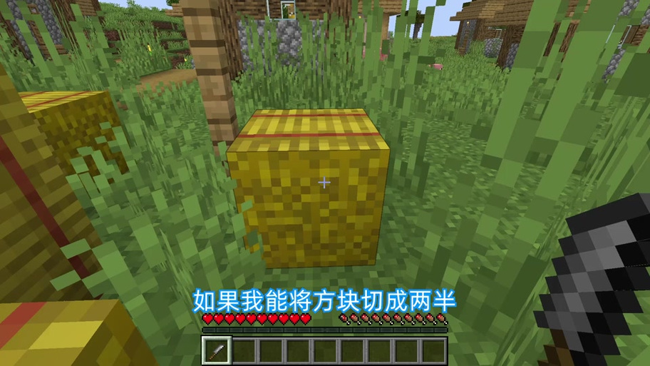 minecraft的椒盐蛋