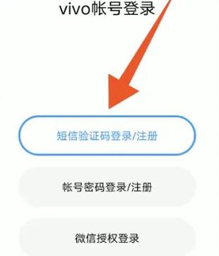 vivo账号实名认证更改后游戏缩略图