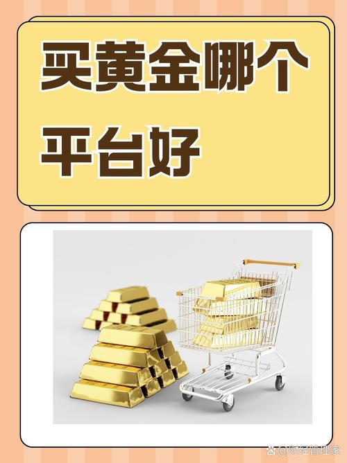 金龙赚平台