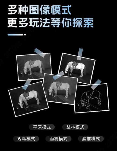 qq不让别人搜索到我新春版游戏截图