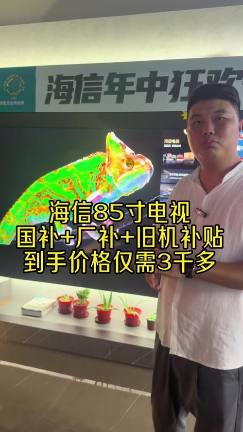 电视国补怎么领取