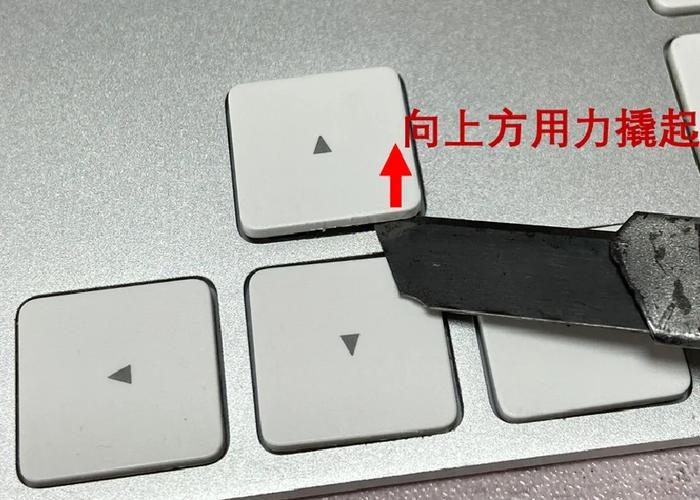 笔记本键盘能扣下来吗