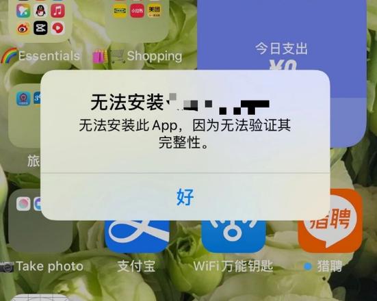 苹果平板更新系统后按装不了软件
