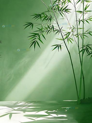 手机屏幕一块亮一块暗