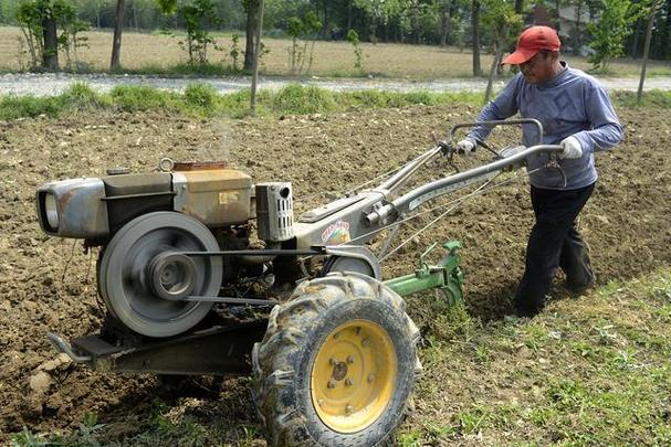 田园生活赚钱游戏正版无限钻石金币游戏截图