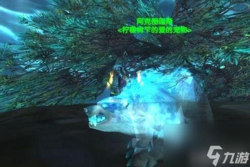 魔兽猎人带什么宠物打怪好