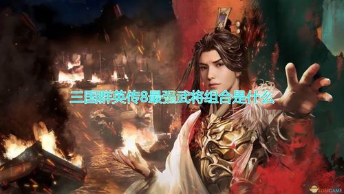三国群英传8最强搭配季节版游戏截图