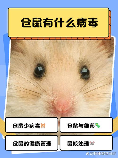 仓鼠死掉了会有病毒吗?