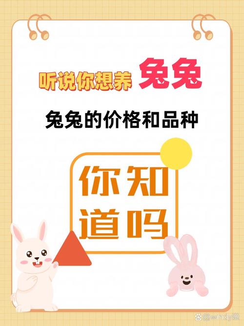 兔子销售广告