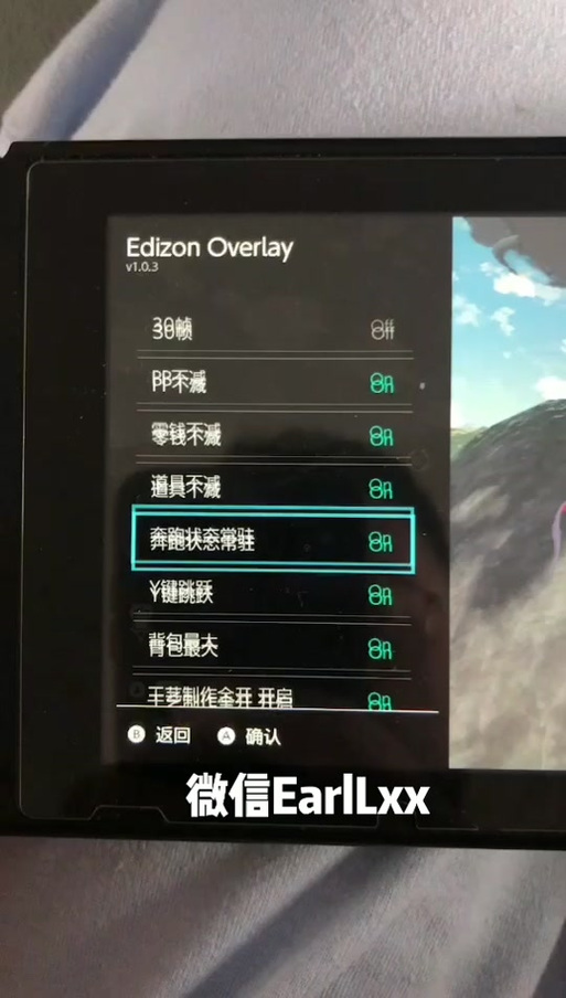 switch破解版金手指放哪里