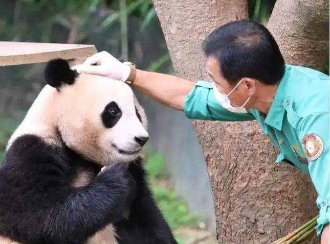 熊猫看书免费阅读器加速永久游戏截图