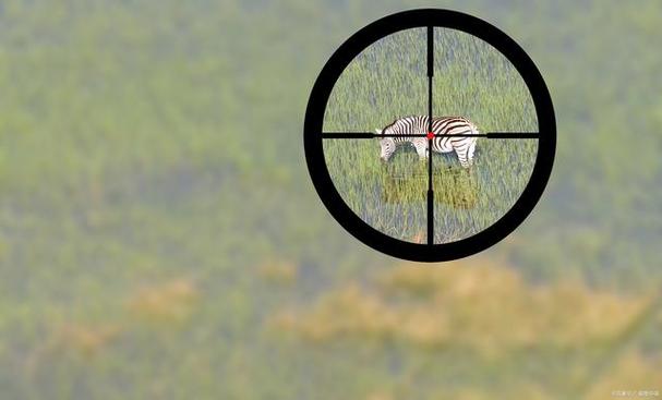十字架准星瞄准器pubg