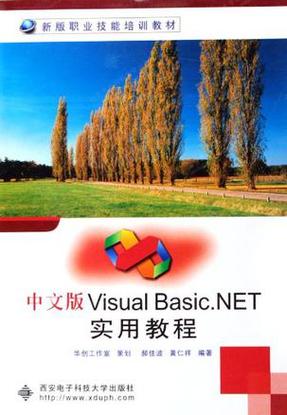 Visual Basic
