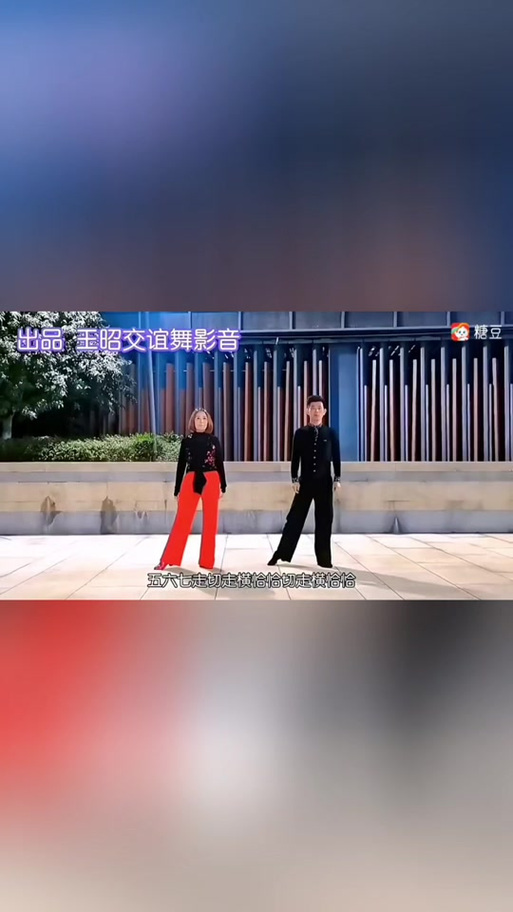 恰恰双人舞教学视频免费阅读游戏截图
