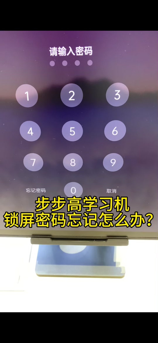 步步高忘记密码怎么办前瞻版游戏截图