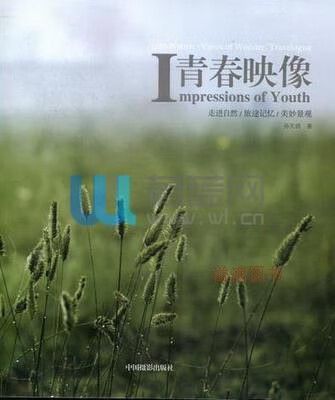 贾玲年轻时的照片
