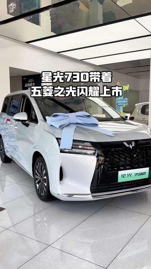 五菱星光730混动版图片大全