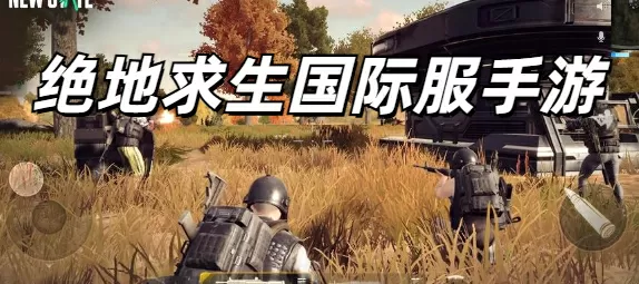 绝地求生国际服手游下载-绝地求生国际服手游免广告修改版游戏截图