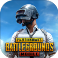 pubg国际服直装科技辅助免费下载-pubg国际服直装科技辅助下载免费解锁会员版游戏截图