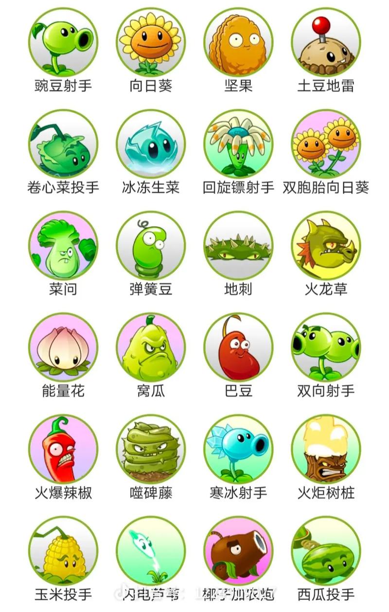 植物大战僵尸2国际版下载全植物解锁换源版游戏截图