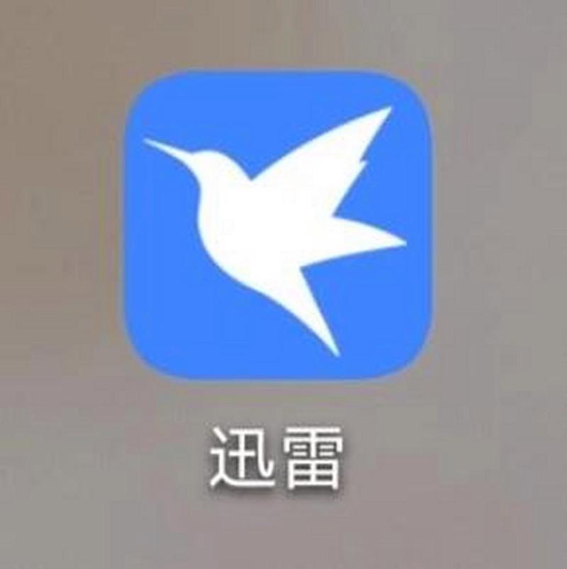 迅雷云盘app安装缩略图