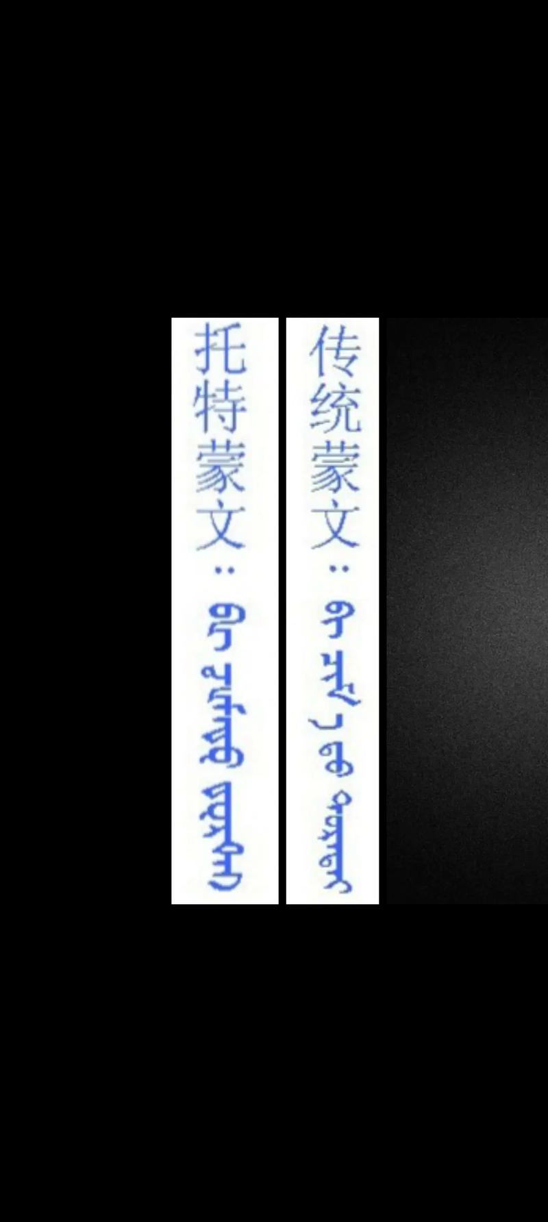 新蒙文字典2023最新版
