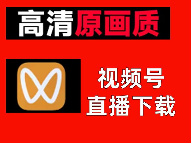 A8直播视频安装2023
