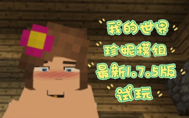 我的世界珍妮模组安装包文件