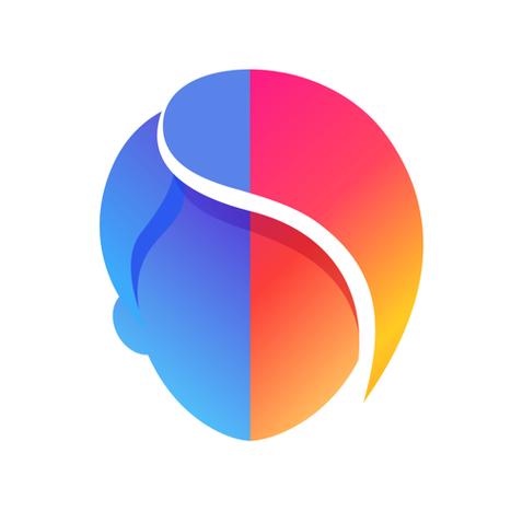 Faceplay软件