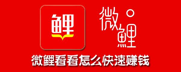 微鲤看看老版本