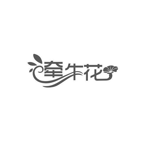 牵牛花