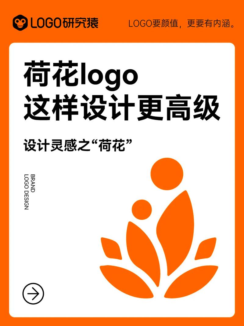 荷花网赚钱版v1.0.0下拉式vip游戏截图