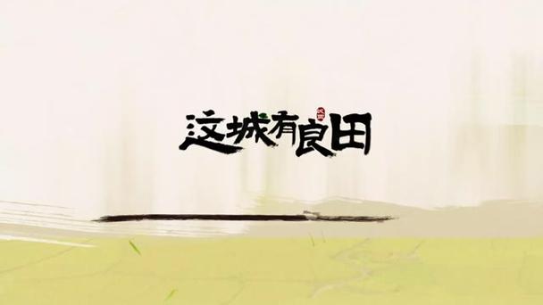 这城有良田