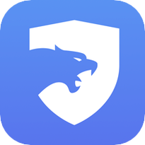 猎豹加速器app官网版免广大量金币游戏截图