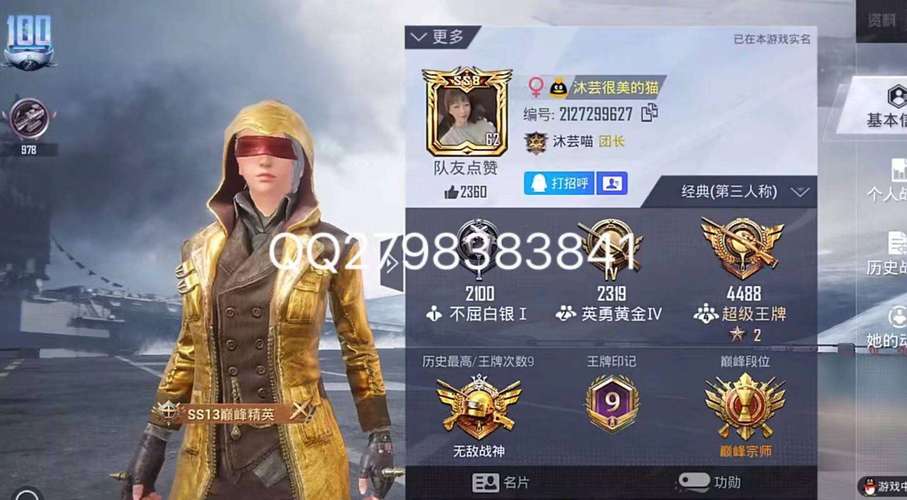 至尊金龙美化包修改器免排队游戏截图