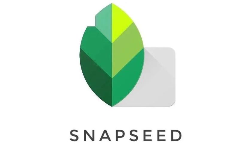 snapseed最新中文版官方版内置VIP游戏截图