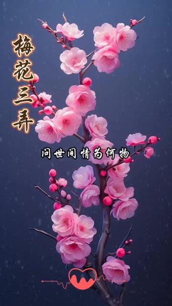 梅花视频旧版一天能看三个解锁会员版游戏截图